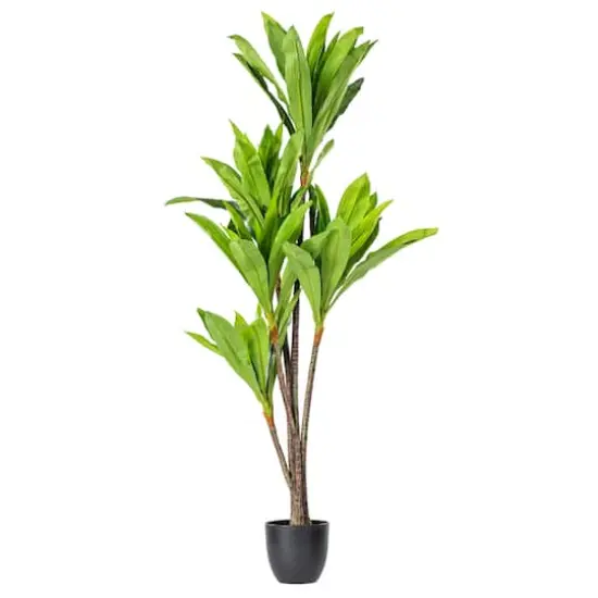 5ft. Potted Artificial Dracaena Tree {1}