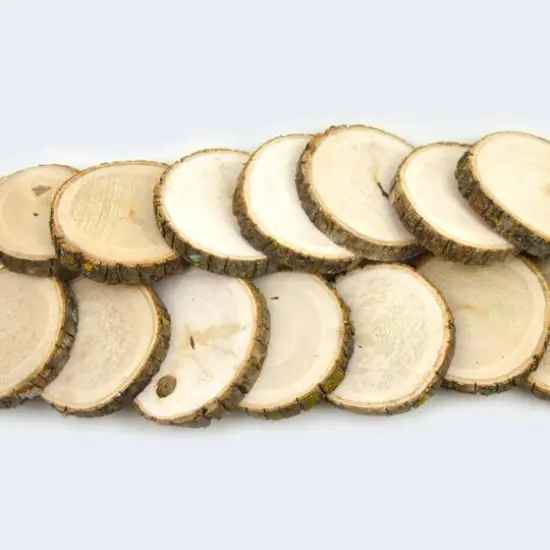 Wilson&reg; Enterprises 16 Pack Natural Basswood Round {4}