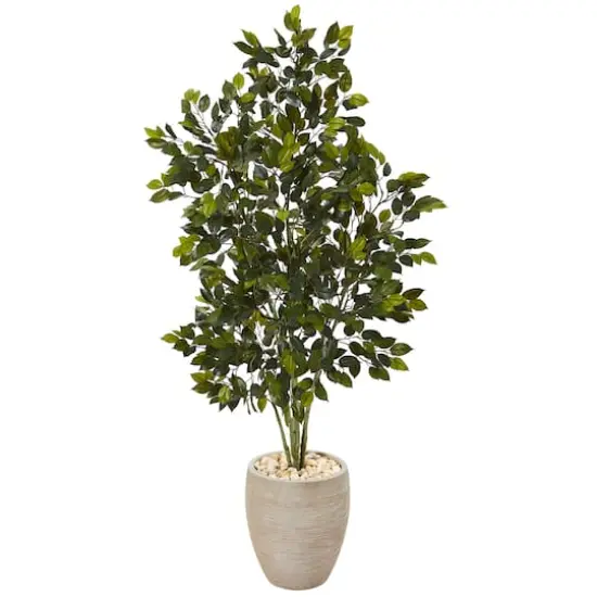 4.4ft. Ficus Tree in Sand Colored Planter  {1}