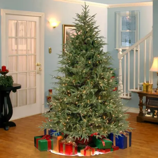 6.5 ft. Pre-Lit Frasier Grande Full Artificial Christmas Tree, Clear Lights {4}