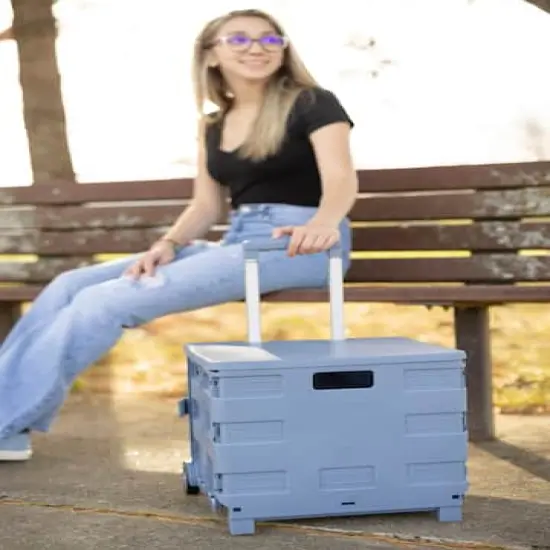 Everything Mary Blue Plastic Collapsible Cart Organizer {8}