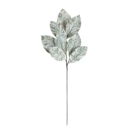 White Magnolia Leaf Sprays, 6ct. {3}