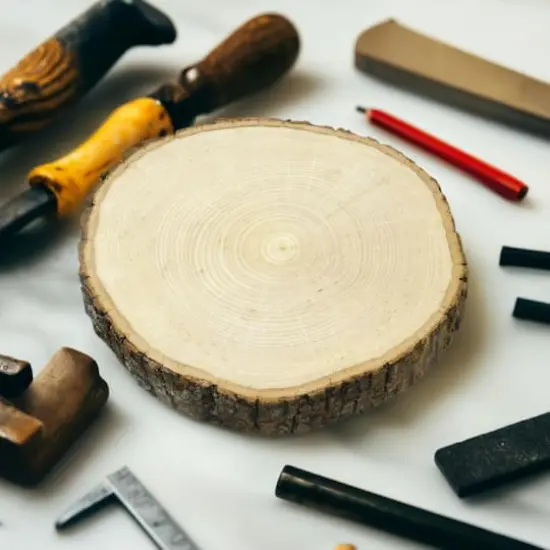 Wilson&reg; Enterprises Plate Charger Basswood Round {1}