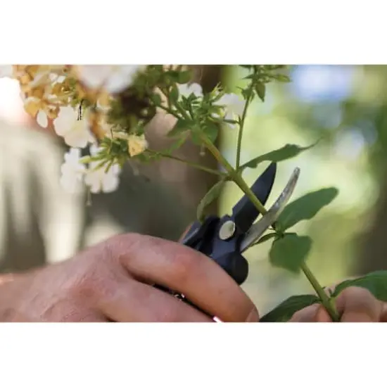 Fiskars&reg; 7.25" Floral Pruner {6}