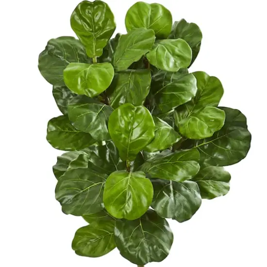 5ft. Fiddle Leaf Fig Tree with Decorative Planter {3}