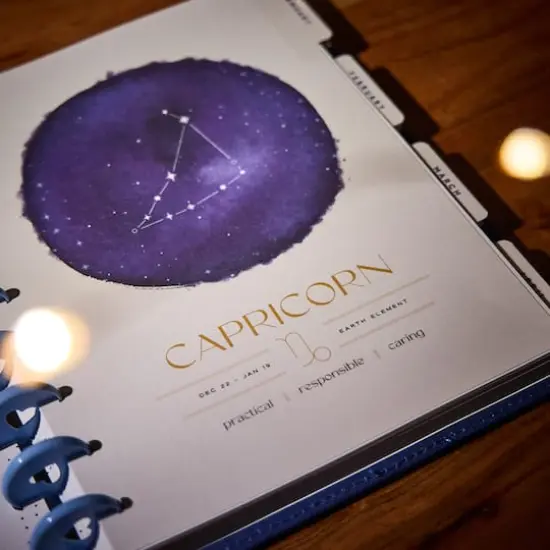 The Classic Happy Planner&reg; Star Signs Premium {7}