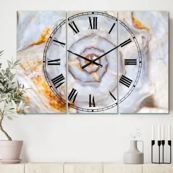 Designart 'Great Skeleton Of Sea Shell Beach Style Multipanel Wall Clock {3}