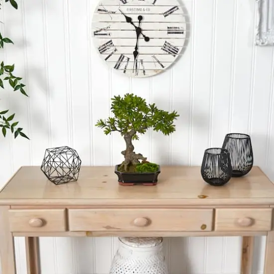 14" Plum Pine Bonsai in Ceramic Planter {3}