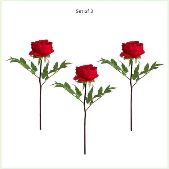 20" Red Peony Flower Stems, 3ct. {4}