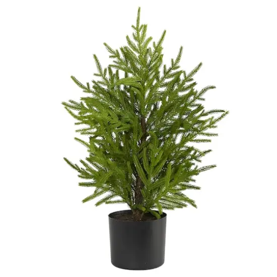 2ft. Unlit Norfolk Island Pine Artificial Potted Christmas Tree {1}