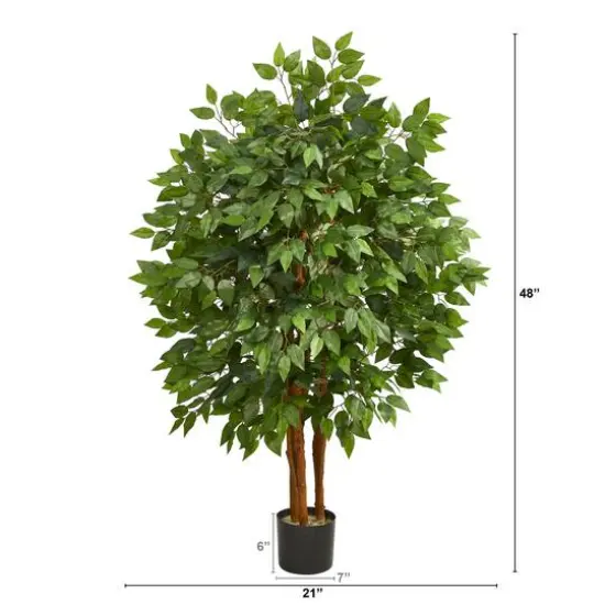 4ft. Potted Super Deluxe Ficus Tree {3}