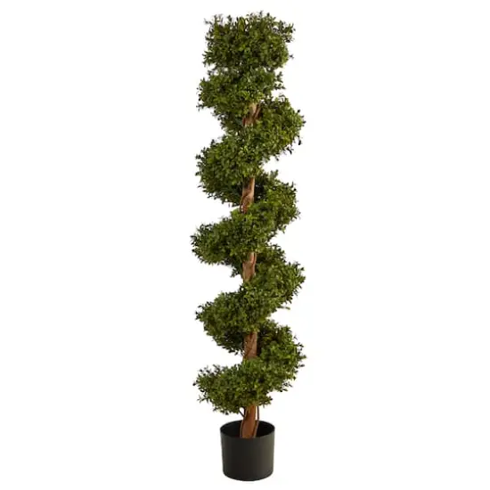5ft. Potted UV Resistant Spiral Boxwood Topiary Tree {1}