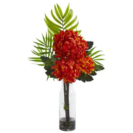 Tropical Mum Arrangement In Vase, 2ct. Orange {3}