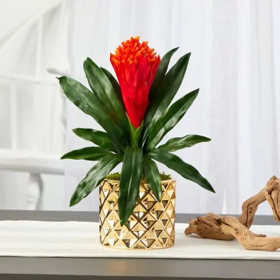 15" Bromeliad Plant in Gold Planter {4}