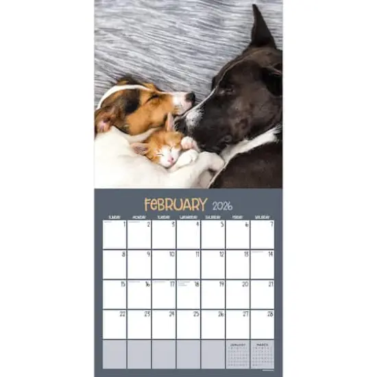 2026 Furry Friends Wall Calendar {3}