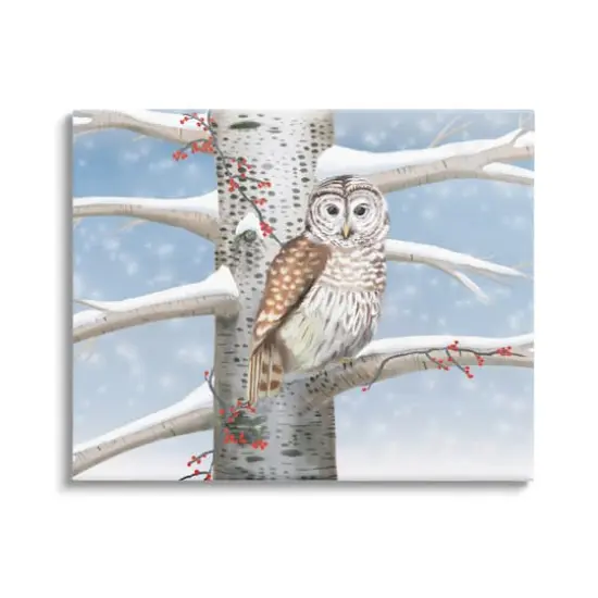 Stupell Industries Snowy Birch Tree Owl Canvas Wall Art {1}