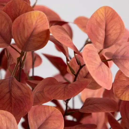 29" Artificial Coral Eucalyptus Arrangement in Black Vase {4}