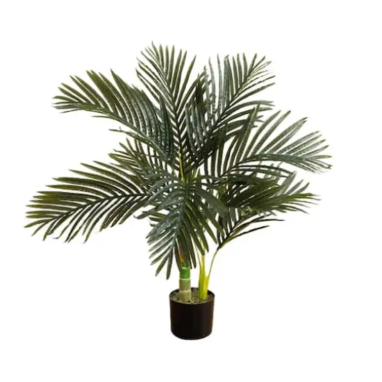 3ft. Potted Golden Cane Palm Tree {1}