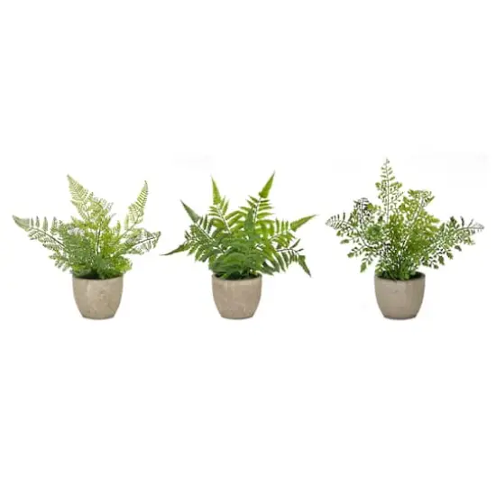 11" Potted Fern Plant Set {1}