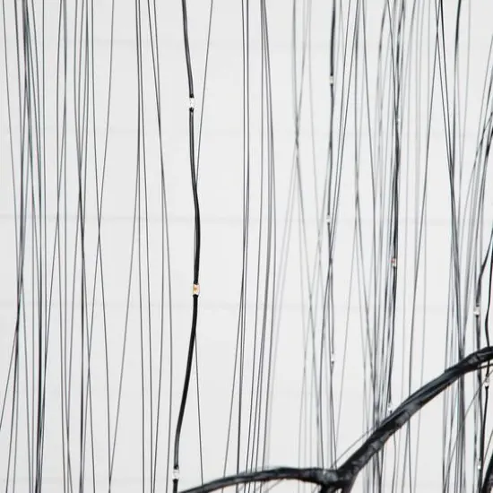 7ft. Pre-Lit Artificial Halloween Black Willow Tree with 600 Purple and Orange Dual Color LED Lights {14}