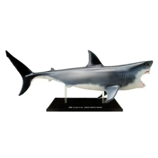 4D Vision&trade; Great White Shark Anatomy Model {4}