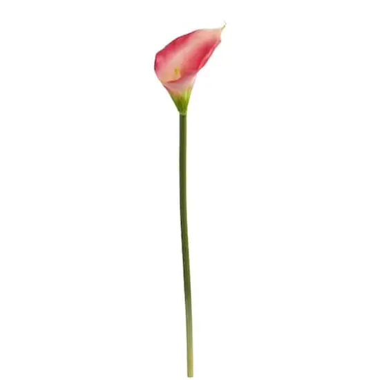 Pink Calla Lily Flower Stems, 12ct. {3}