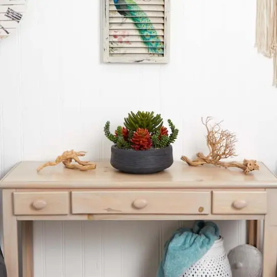 12in. Succulent Garden in Stone Bowl {4}
