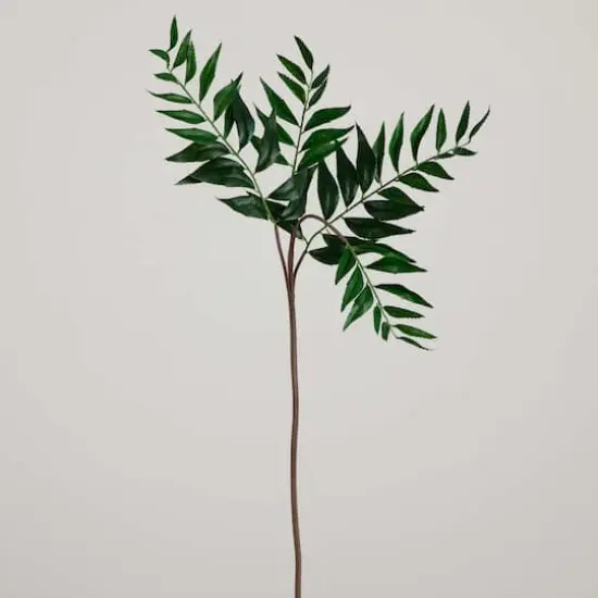 38" Green Palmate Fern Stems, 3ct. {9}