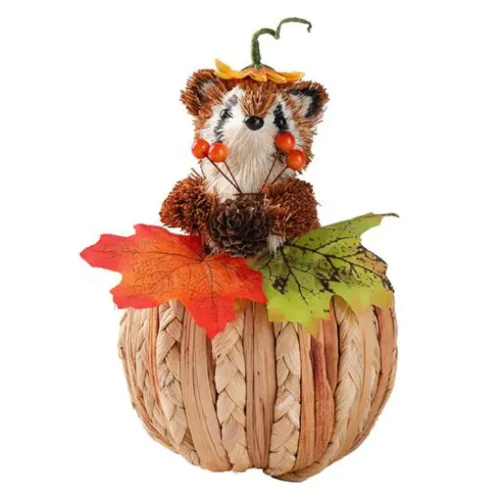 7.5" Raccoon on Pumpkin Natural D&eacute;cor by Ashland&reg; {1}