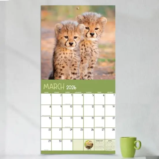 2026 Baby Animals Wall Calendar {4}