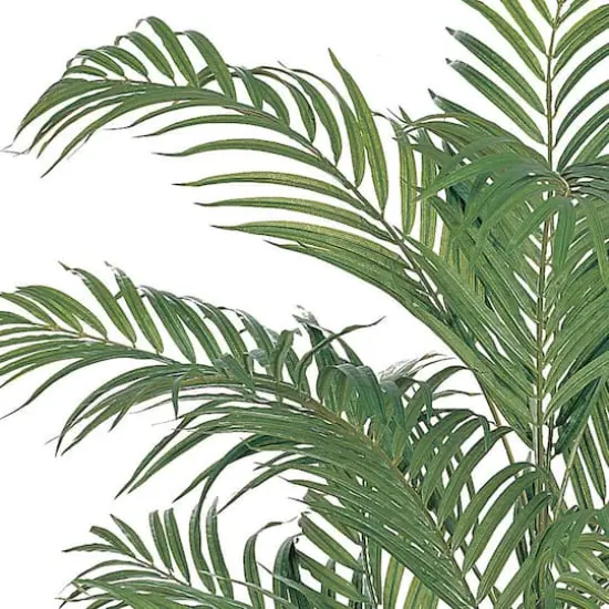 4ft. Potted Areca Silk Palm Tree {3}