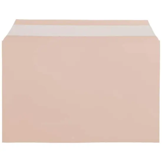 JAM Paper 5.43" X 8.62" Self Adhesive Closure Cello Sleeves, 100ct. Peach {1}