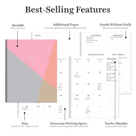 TF Publishing Medium 2024 Sherbet Shades Monthly Planner {3}