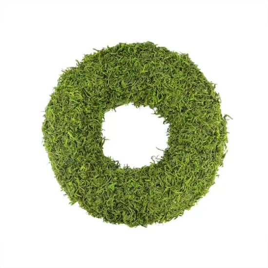 13" Green Reindeer Moss Spring Wreath {1}