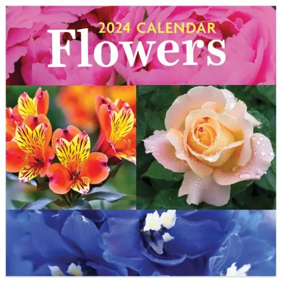 TF Publishing 2024 Flowers Mini Calendar {1}