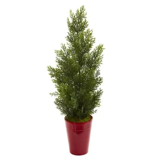 2ft. Mini Cedar Pine Tree in Red Cylinder Planter {1}