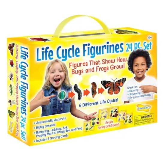 Insect Lore Life Cycle Figurine 24 Piece Set {1}