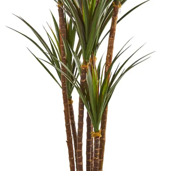 6ft. Yucca Tree in Decorative Planter {3}