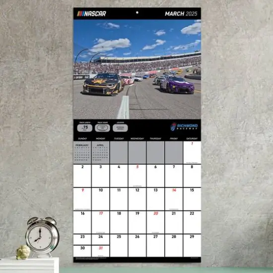 TF Publishing 2025 Nascar Tracks Wall Calendar {4}