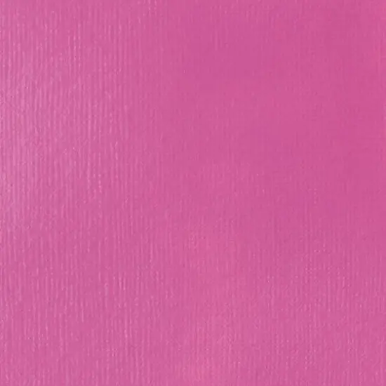 Liquitex BASICS&reg; Acrylic Paint, 8.5oz. 500 Medium Magenta {3}