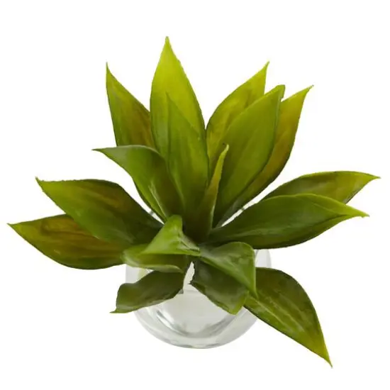 5.75" Mini Agave Succulent in Glass Vase, 3ct. {4}