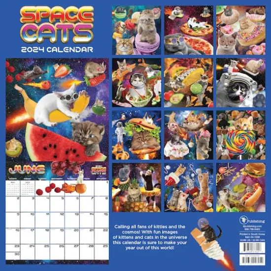 TF Publishing 2024 Space Cats Wall Calendar {3}
