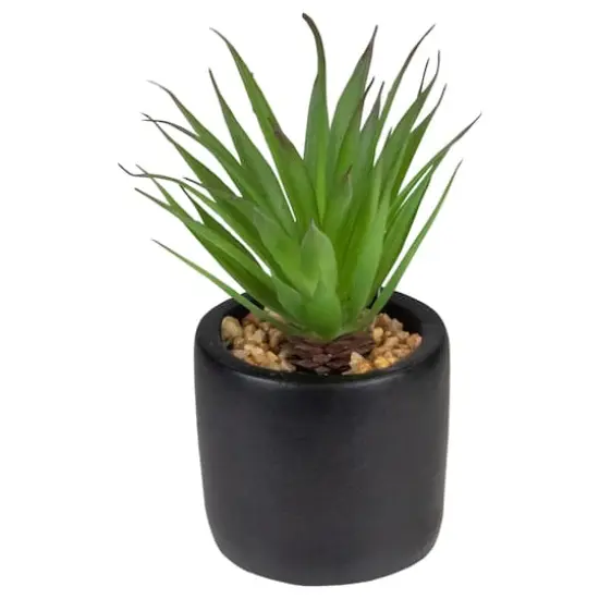 7" Green Sword Grass in Black Pot {1}