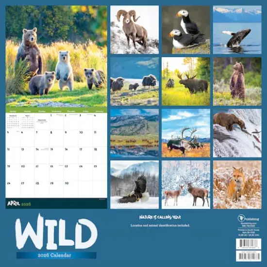 2026 Wild Wall Calendar {6}