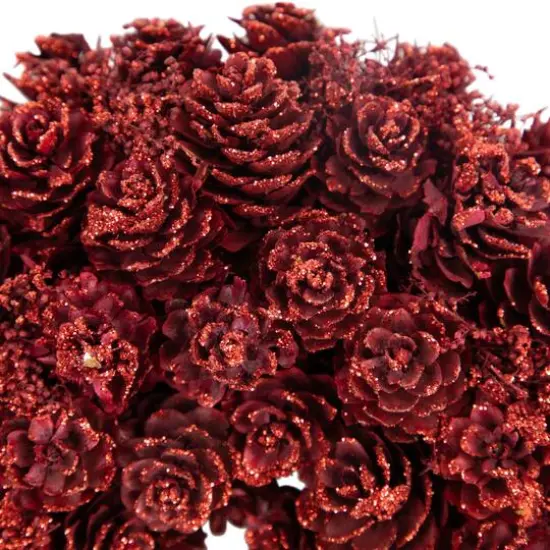 14" Red Valentine's Day Wooden Pinecone Rose Heart Wreath {6}