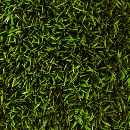 Mini Plum Pine Artificial Wall Mat, 6ct. {5}