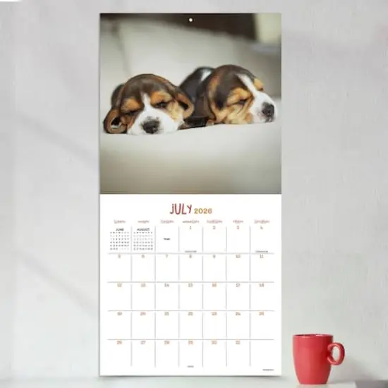 2026 Dog Dreams Wall Calendar {4}