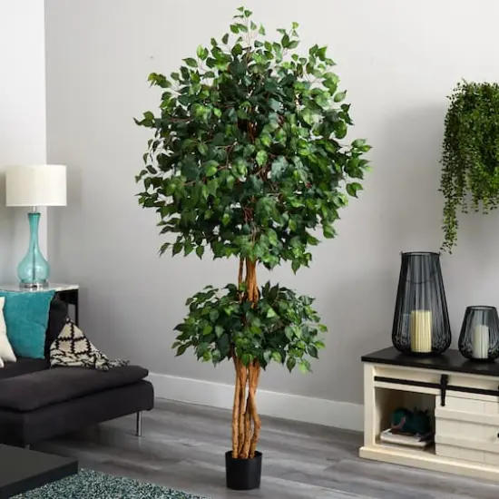 6ft. Potted Double Ball Ficus Silk Tree {6}