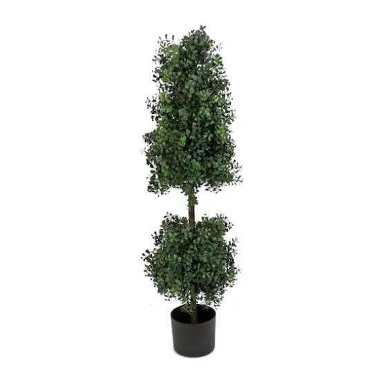 4ft. Boxwood Cone & Ball Topiary In Nursery Pot {1}