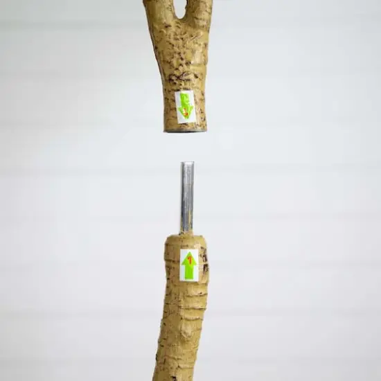 8ft. Potted Green Artificial Eucalyptus Tree {5}